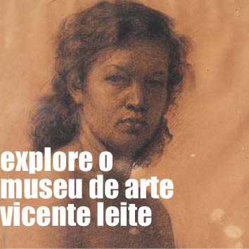 explore o museu de arte vicente leite